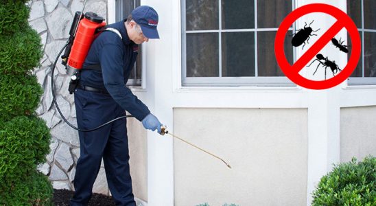 Derepazarı Hamam Böceği İlaçlama böcek ilaçlama ve haşere kontrolü — ilaclama-tr.com